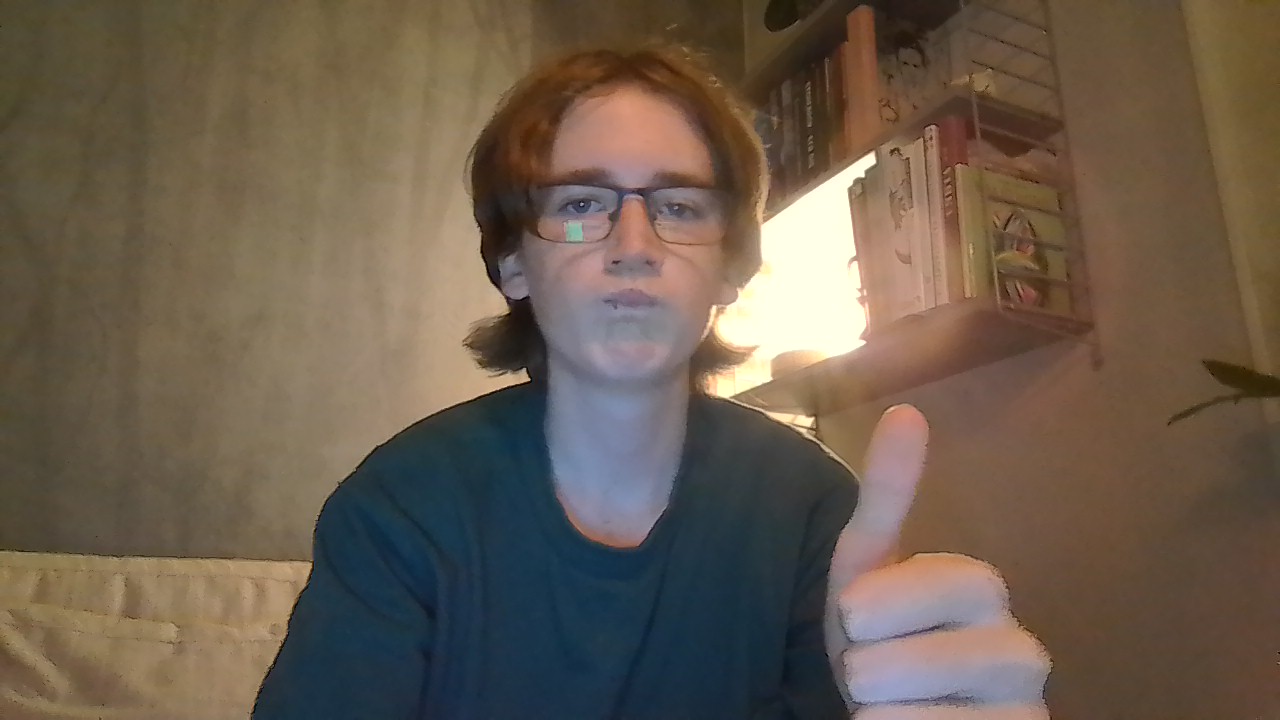 En bild på en liten Edvin