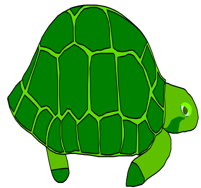 turtle