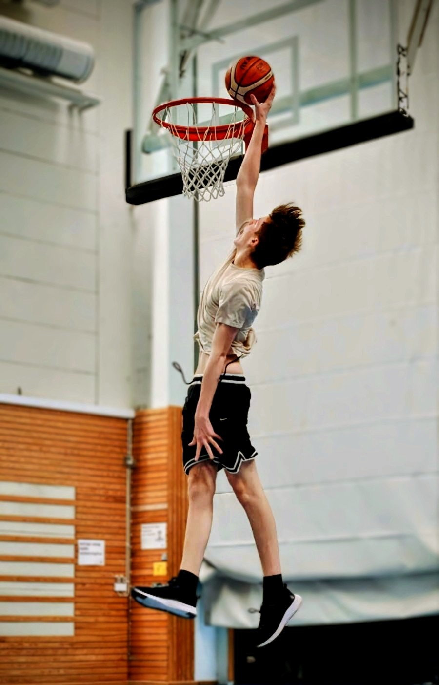 Jag som är proffs på basket