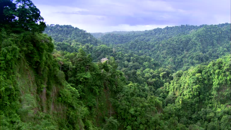 Madagaskar