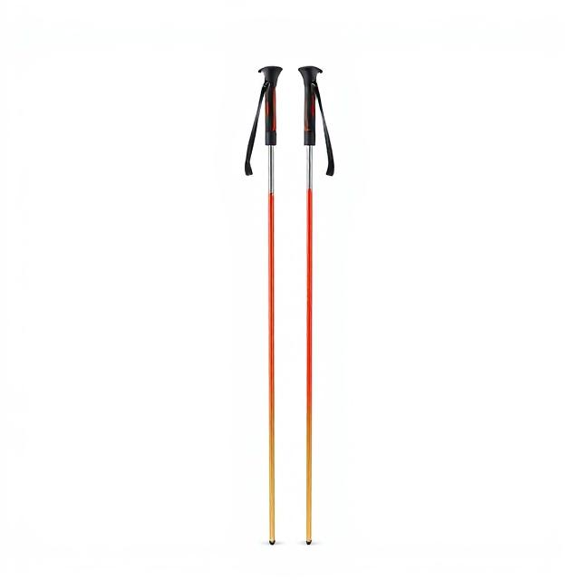 Rossignol