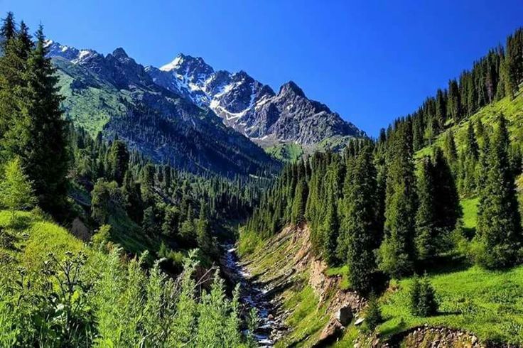 Afghanska berg 3